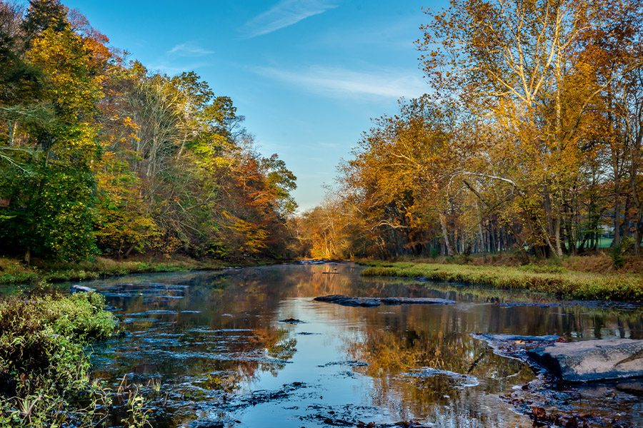 Contact - View of Creek in Pennsylvania Nature on a Sunny Day